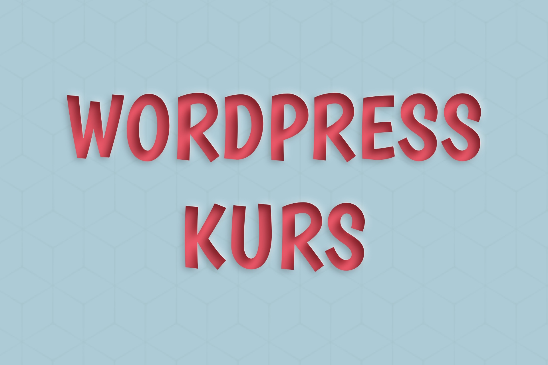 worpress kurs