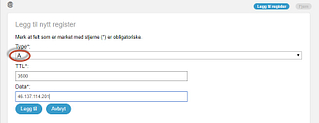 Peke url i DNS til WordPress